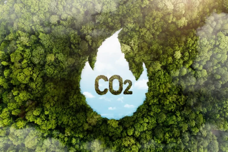 CO2 water droplet icon on green forest background